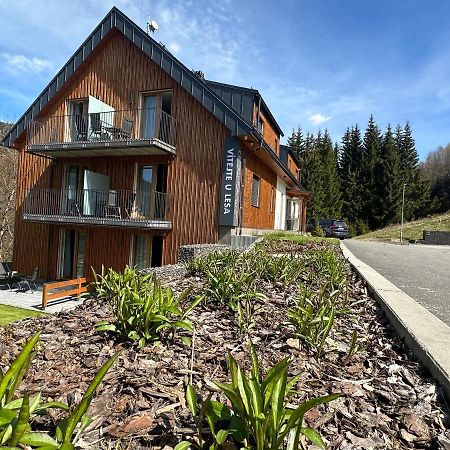 Apartmány u Lesa Dolní Morava Kültér fotó